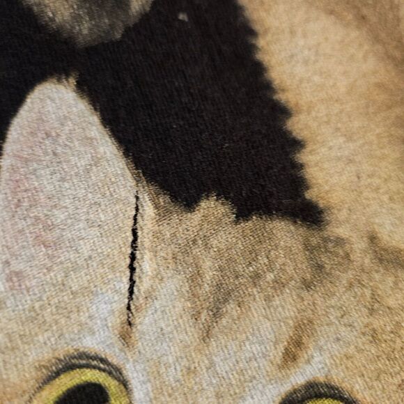 Women Jrs Small Cat Tee T Shirt Screaming Internally Cute Kitten Black Matter S - Picture 3 of 7